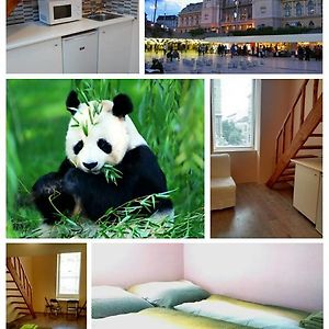 Deluxe Appartement